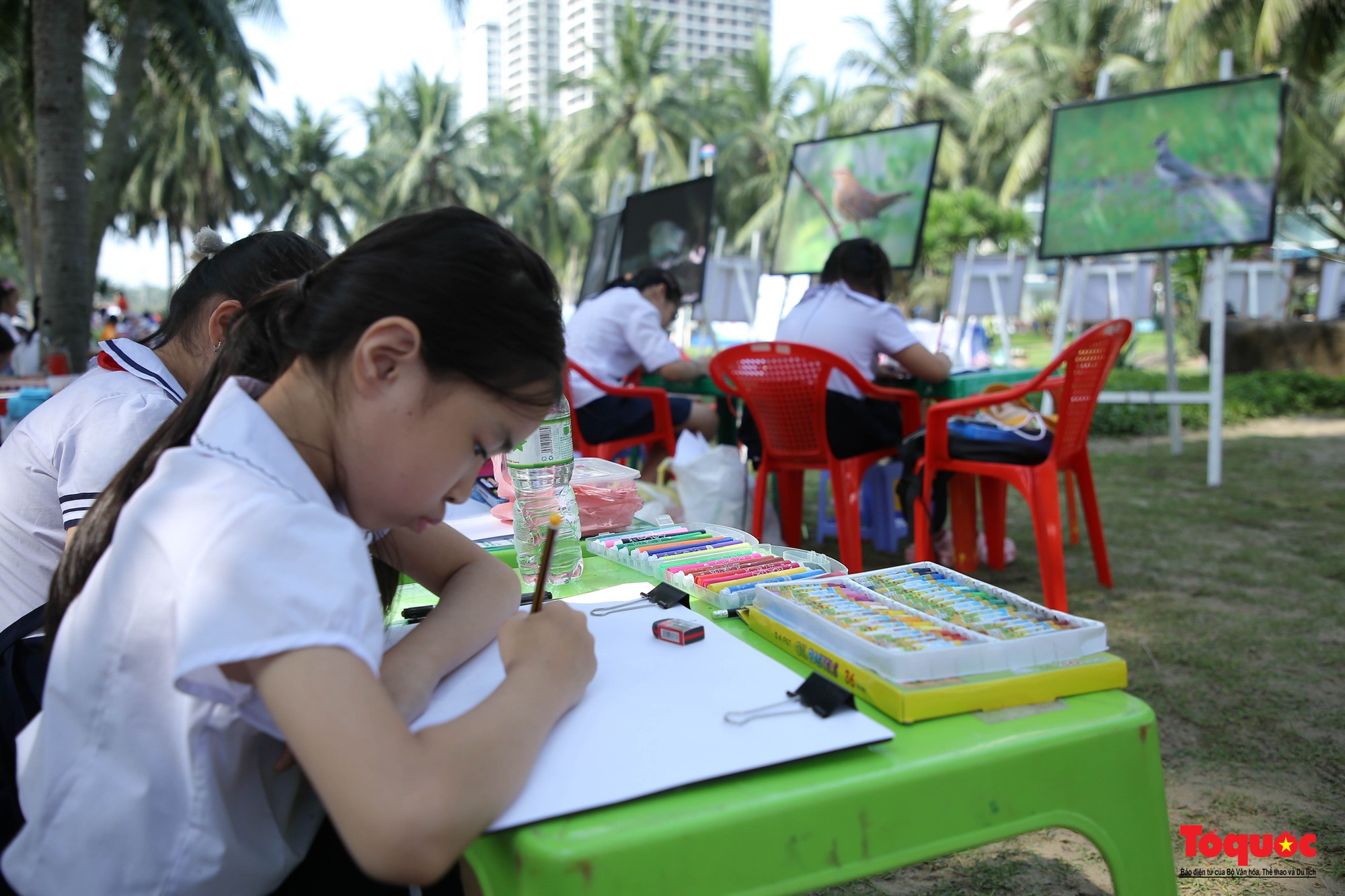 Hơn 100 học sinh Đà Nẵng tham gia cuộc thi vẽ tranh &quot;Vì một Sơn Trà xanh&quot; - Ảnh 2.