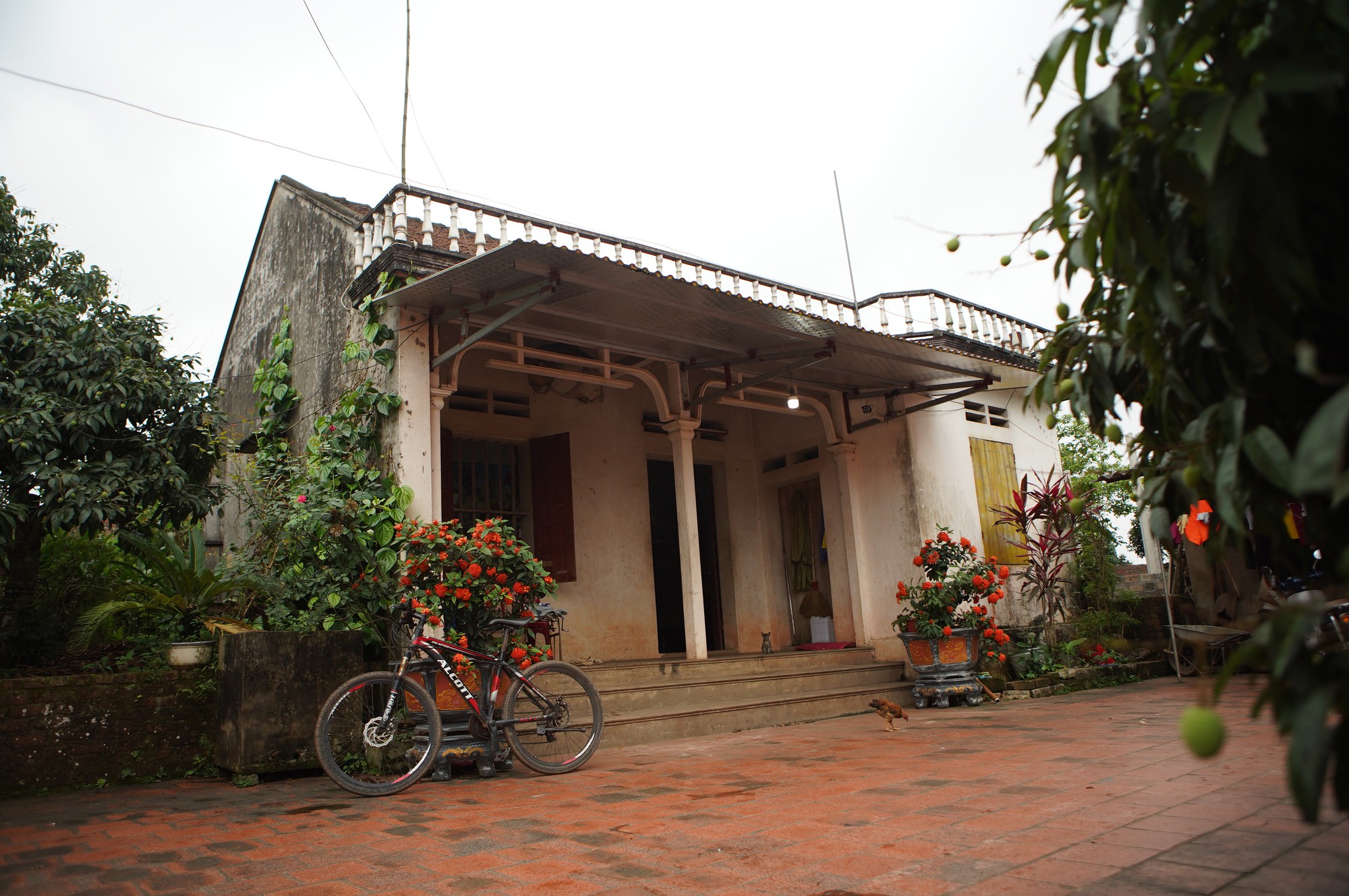 Cô gái vàng từng có ý định sửa sang nhà cho bố mẹ