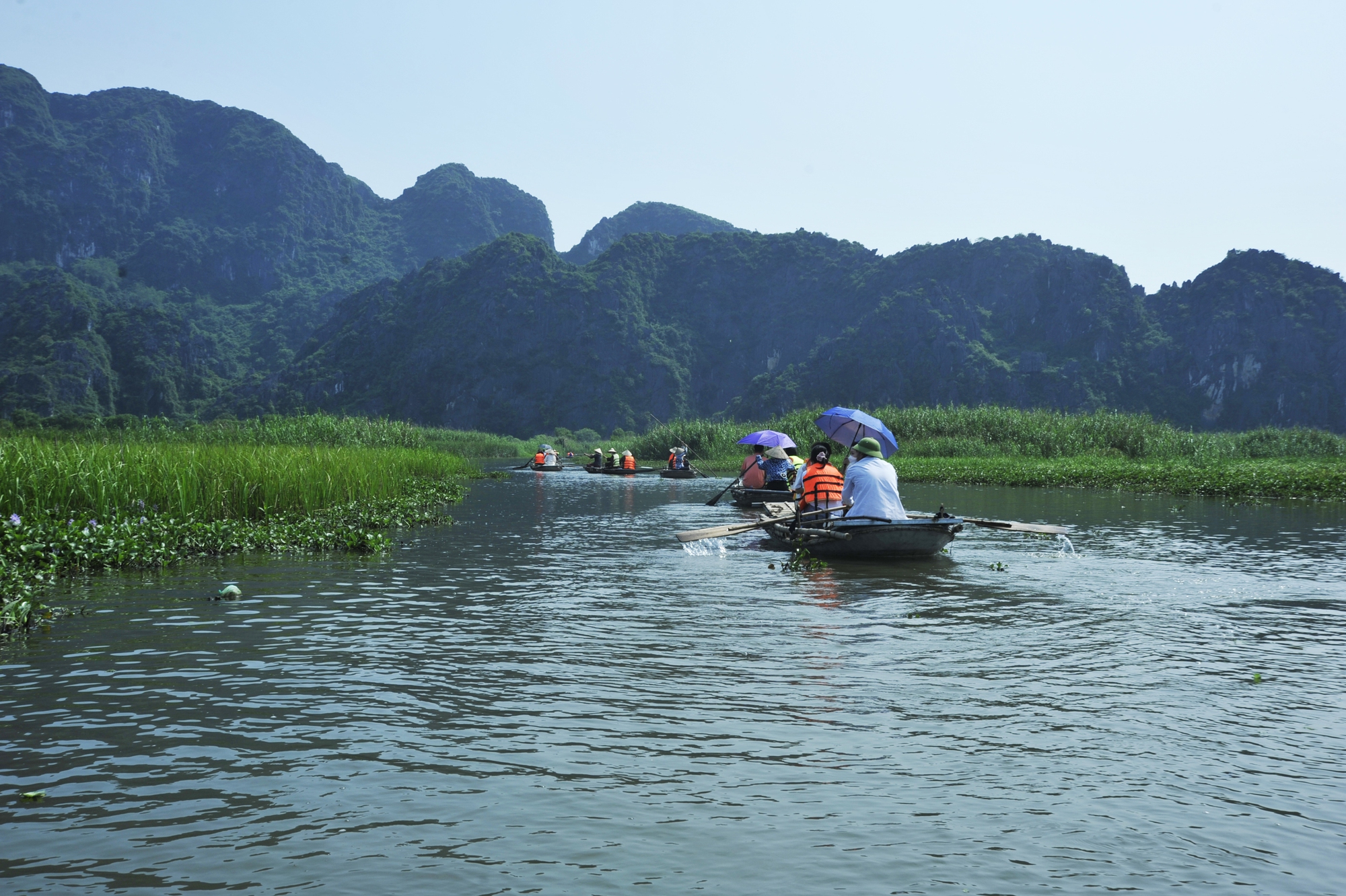 Khám phá đầm Vân Long - nơi quay bộ phim nổi tiếng Kong: Skull Island ở Ninh Bình - Ảnh 1.