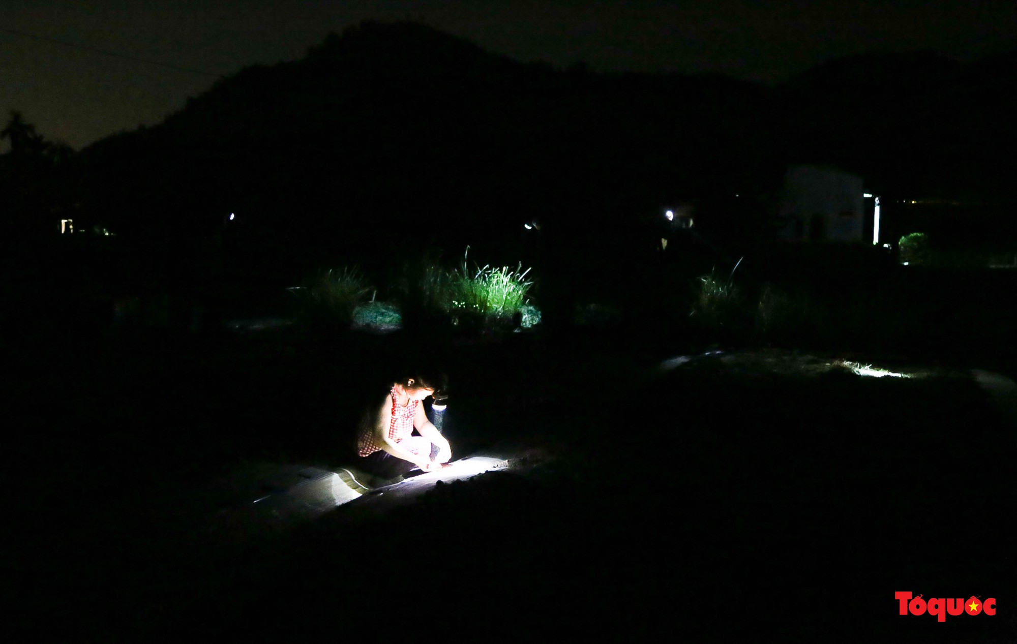 Nông dân Đà Nẵng soi đèn ra đồng vào ban đêm  - Ảnh 10.