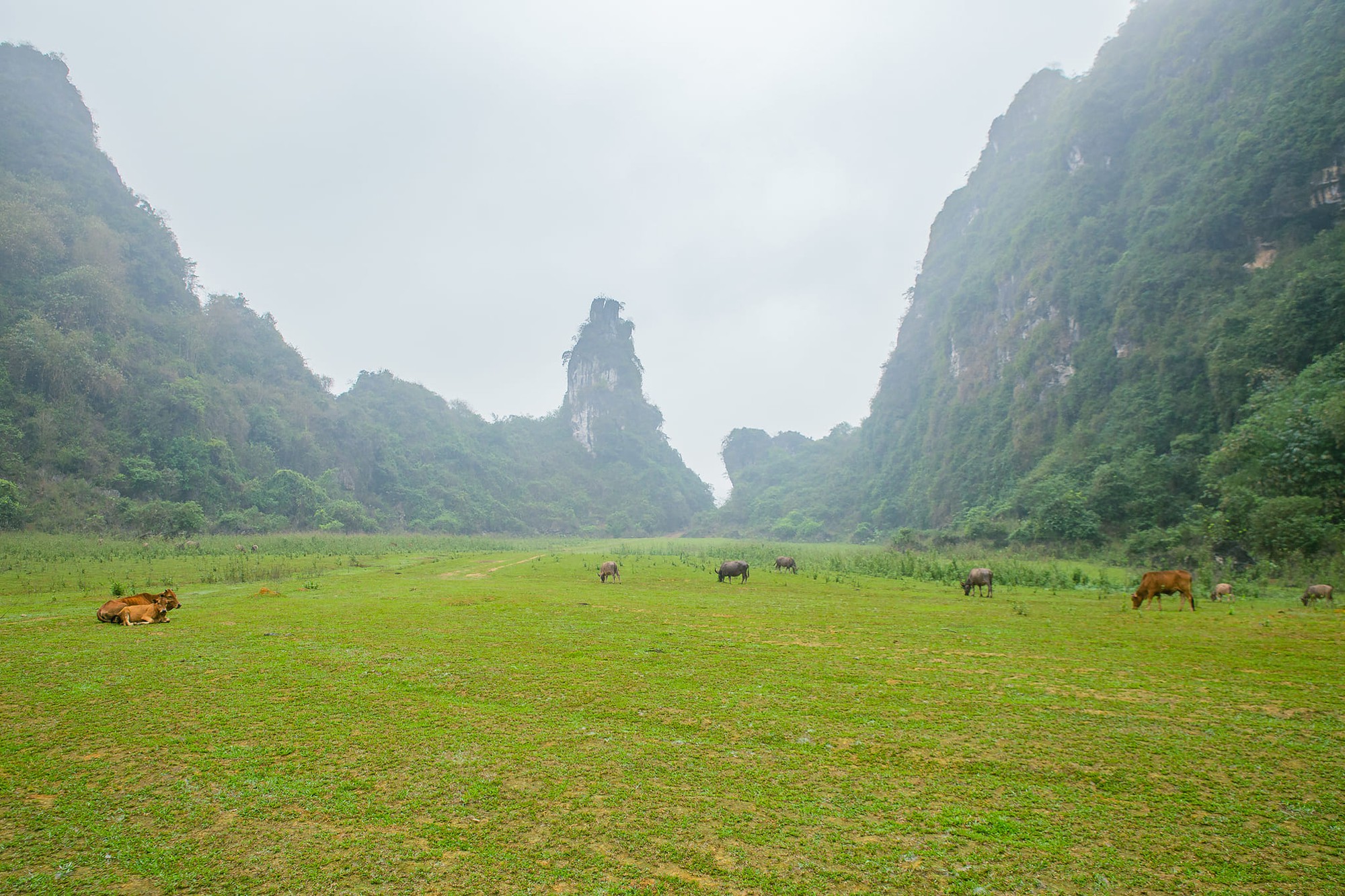 Địa điểm dã ngoại hoang sơ gần Hà Nội lý tưởng với các gia đình cho trẻ gần gũi thiên nhiên - Ảnh 1.