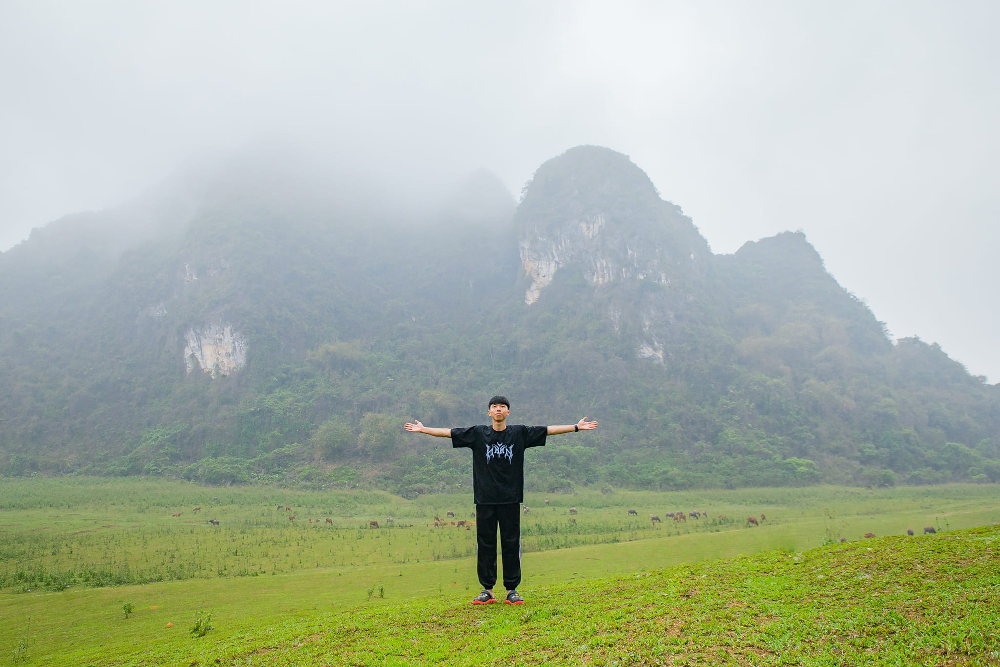 Địa điểm dã ngoại hoang sơ gần Hà Nội lý tưởng với các gia đình cho trẻ gần gũi thiên nhiên - Ảnh 3.