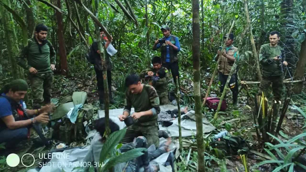 Rơi máy bay, 4 em nhỏ sống sót thần kỳ suốt 40 ngày mất tích trong rừng sâu ở Colombia - Ảnh 2.