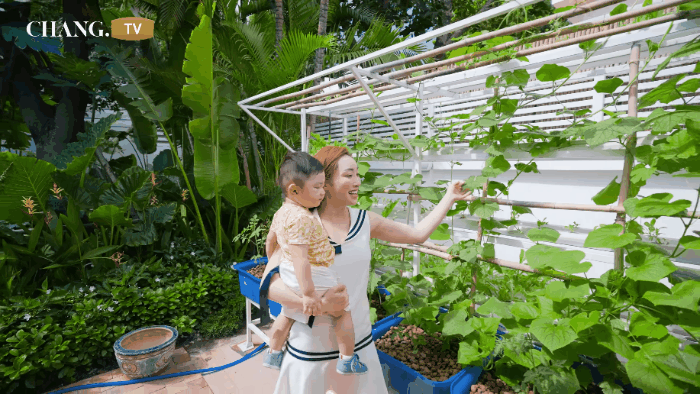 Ngắm vườn cây xanh mướt trong khu biệt thự rộng 1600m2 của vợ chồng Chi Bảo - Ảnh 5.
