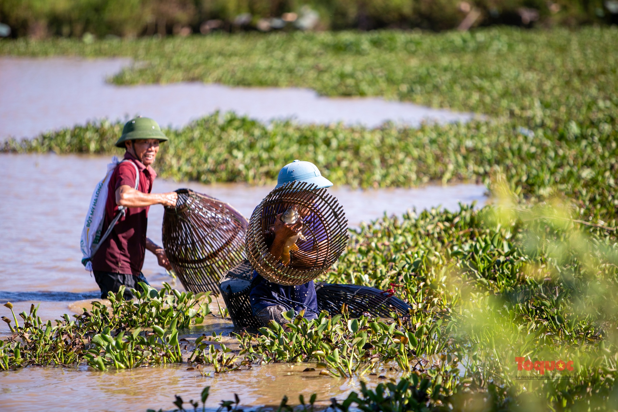 Hàng chục &quot;Cây Nơm nhân dân&quot; xuống bàu Rồng để bắt cá vào Tết Đoan ngọ - Ảnh 10.