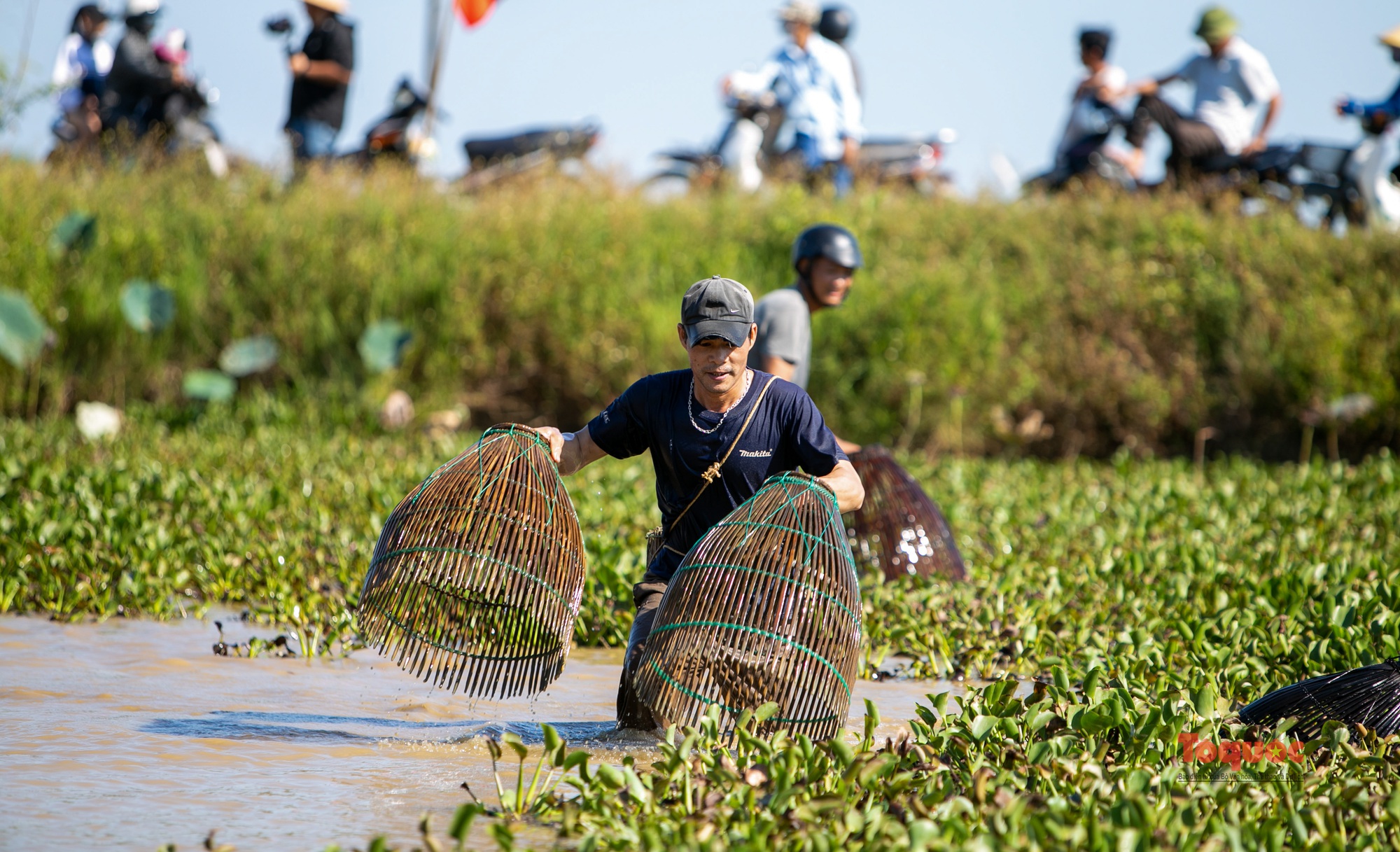 Hàng chục &quot;Cây Nơm nhân dân&quot; xuống bàu Rồng để bắt cá vào Tết Đoan ngọ - Ảnh 9.