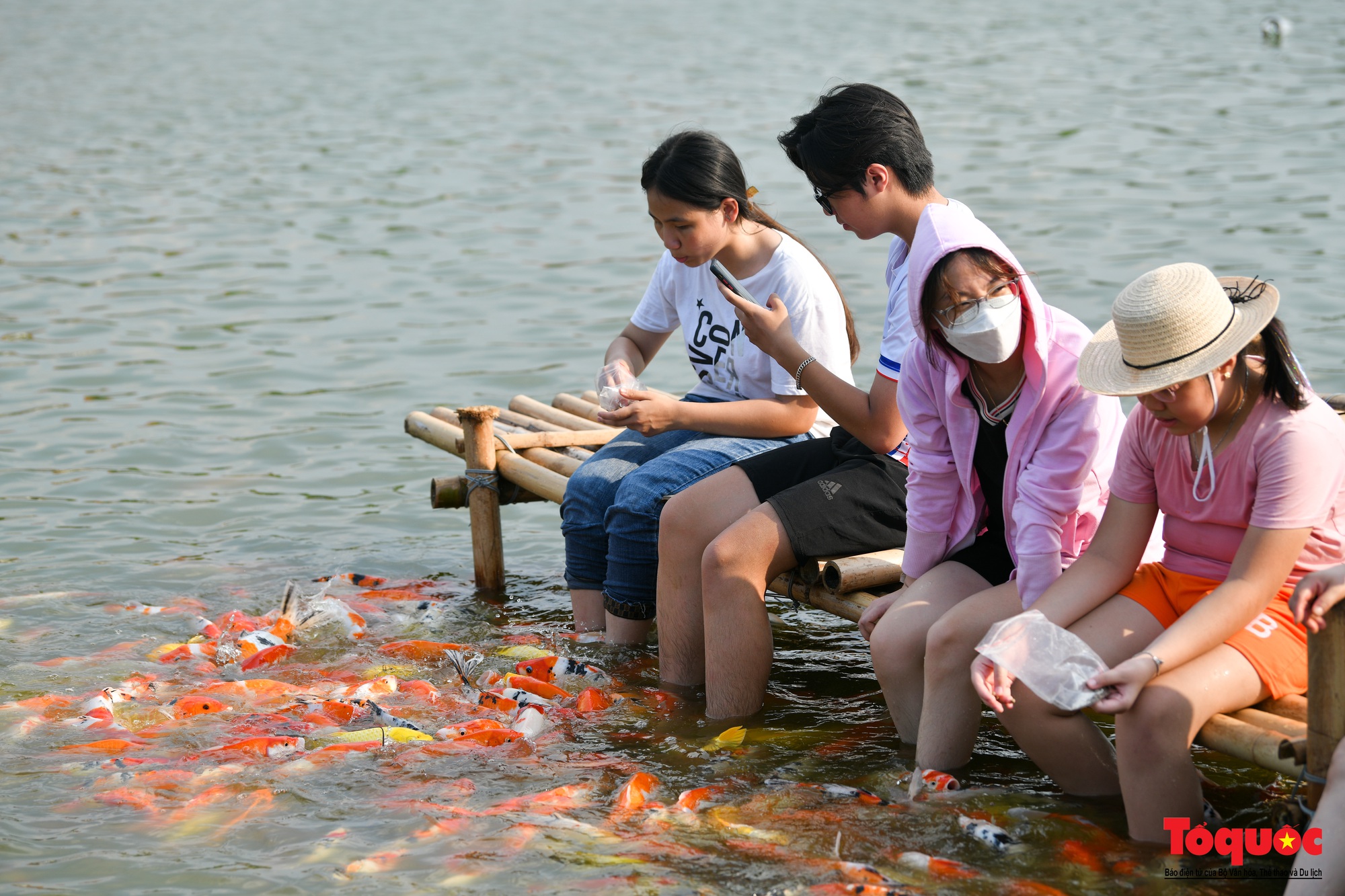 Người dân thủ đô thích thú với đàn cá Koi đủ màu sắc trên Đầm Đông - Ảnh 10.