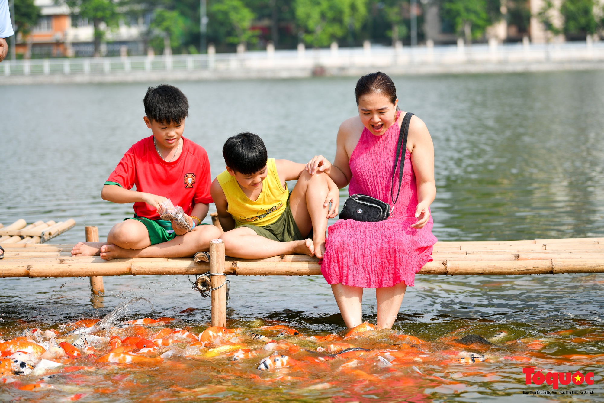 Người dân thủ đô thích thú với đàn cá Koi đủ màu sắc trên Đầm Đông - Ảnh 14.