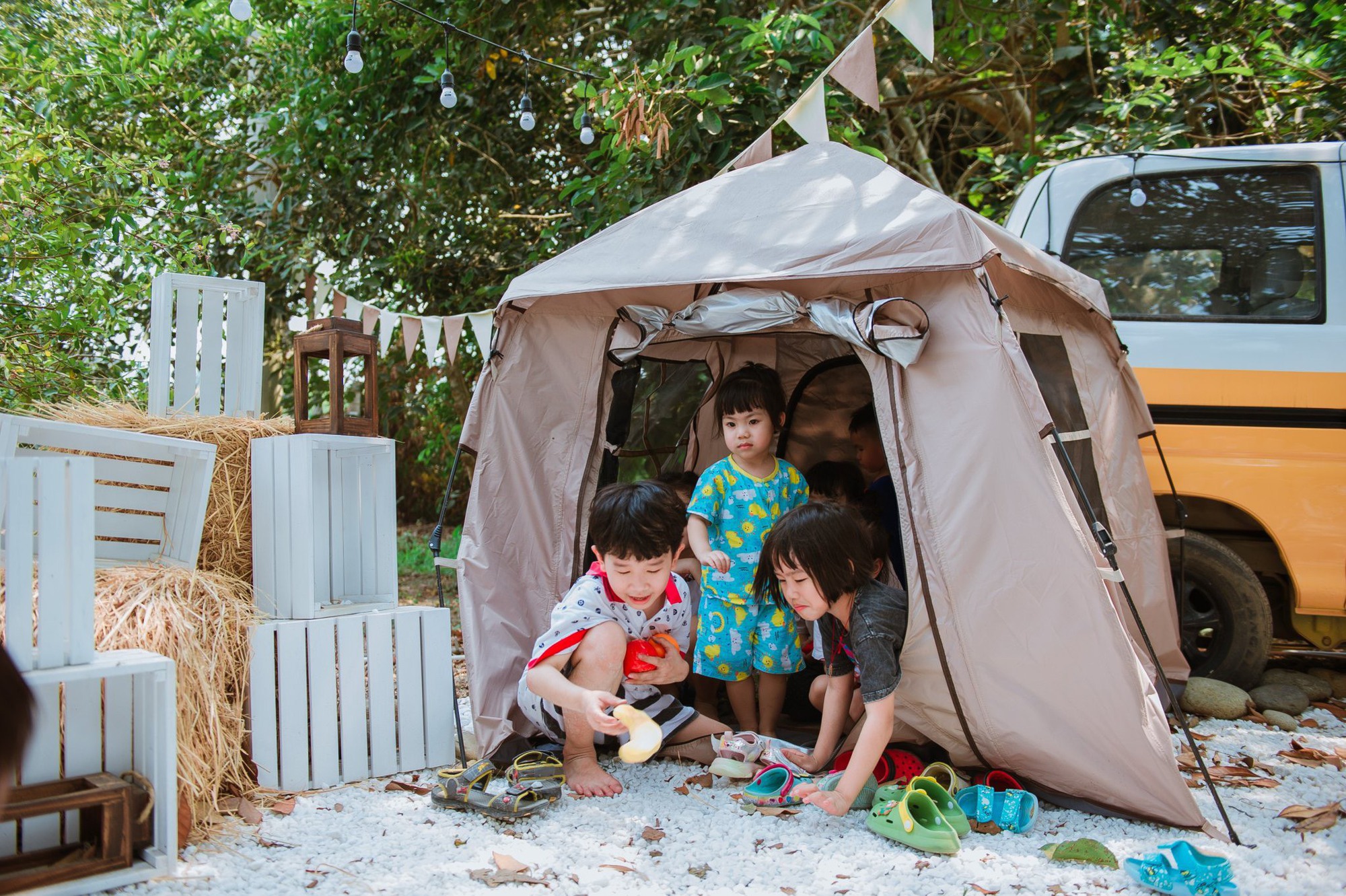 Nông trại gần sát TP.HCM được các phụ huynh tìm đến cho các bé trải nghiệm hái quả, bắt cá, chèo xuồng... dịp nghỉ hè - Ảnh 7.