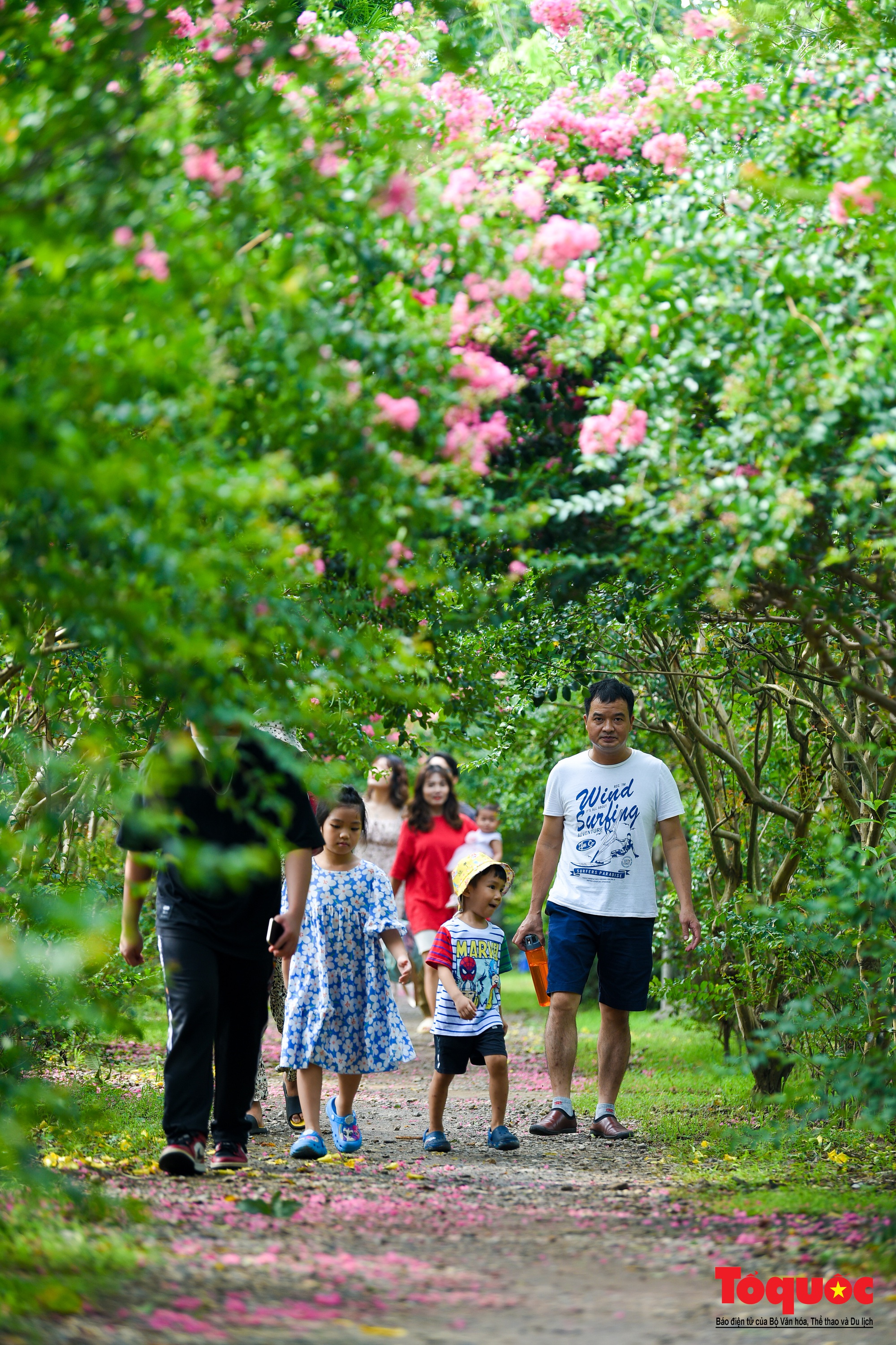 Người dân thủ đô  thích thú với vườn cổ tích tường vi ở Hà Nội - Ảnh 7.