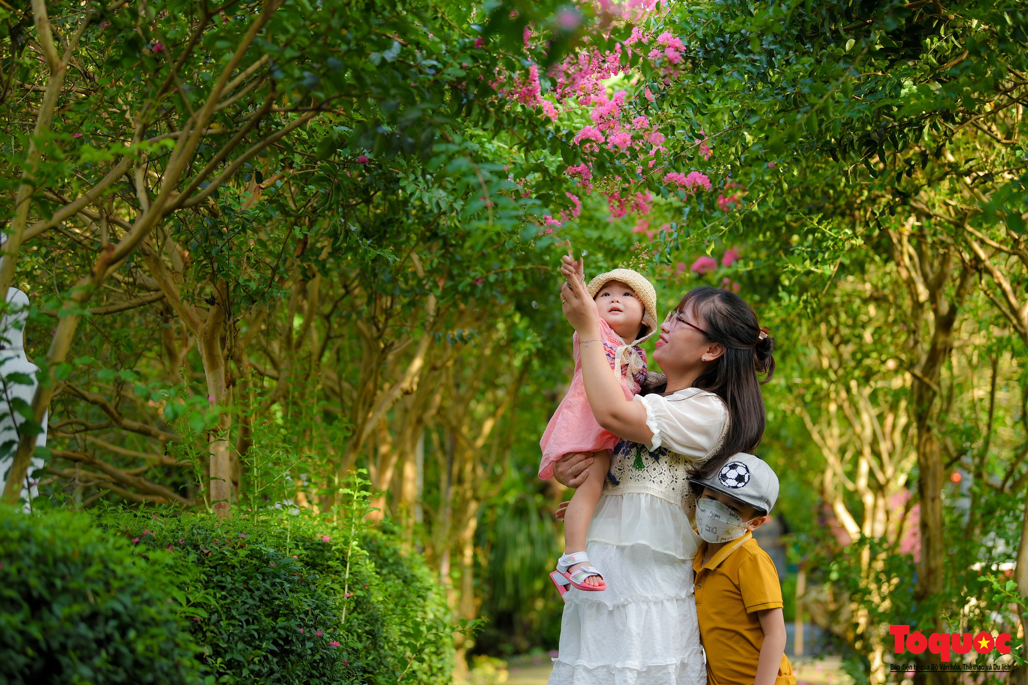 Người dân thủ đô  thích thú với vườn cổ tích tường vi ở Hà Nội - Ảnh 9.