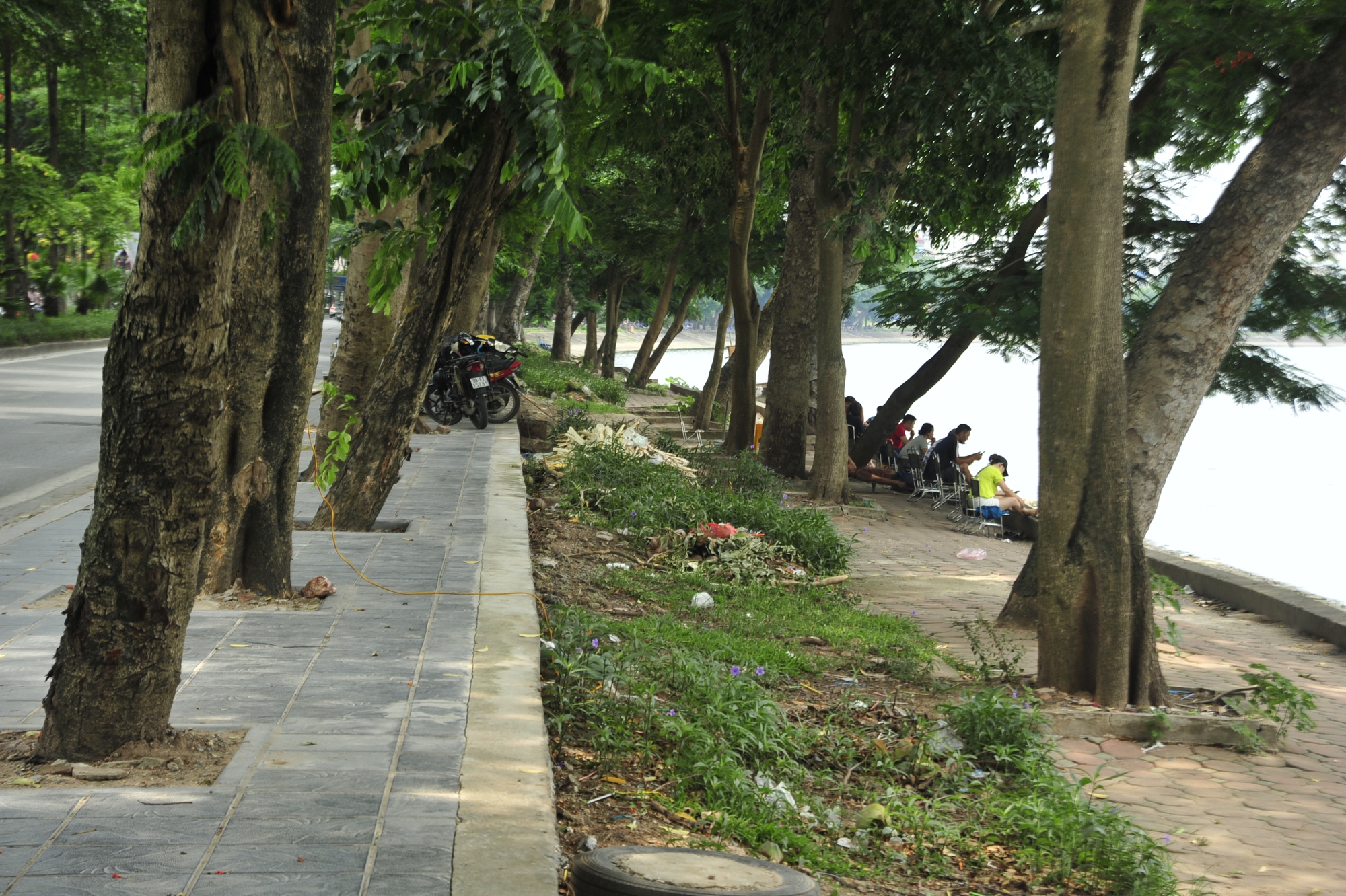 Hồ Linh Đàm nơi dừng chân lý tưởng vào các ngày nắng nóng