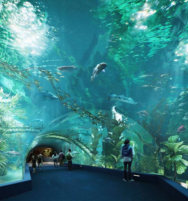 Thủy cung Lotte World Hà Nội - Thế giới đại dương đầy màu sắc sắp khai trương giữa lòng Thủ đô - Ảnh 3.