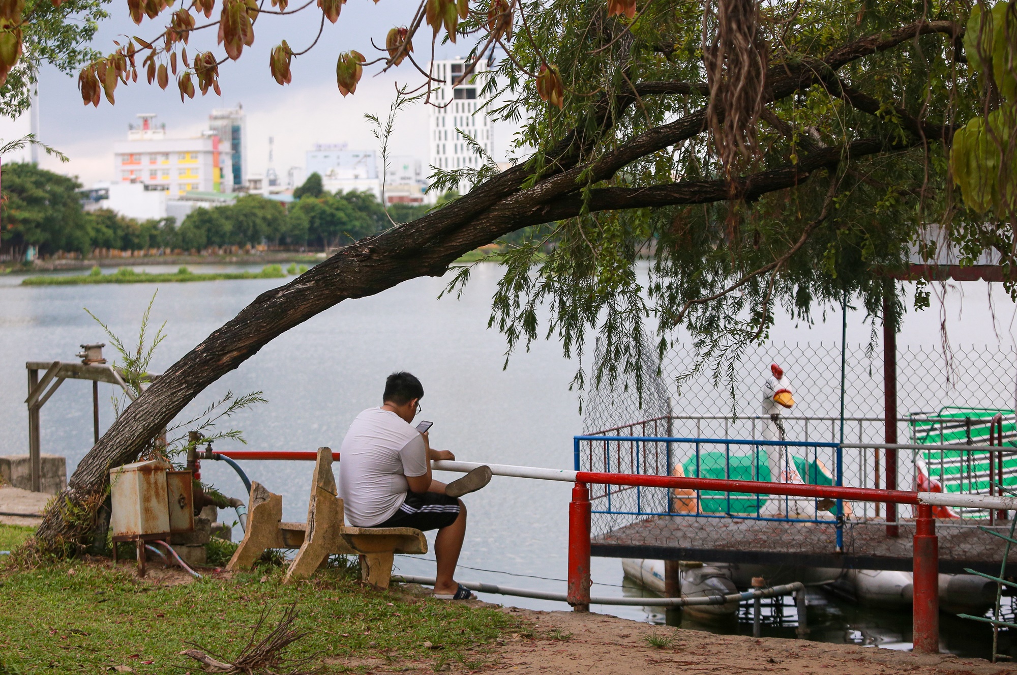 Hiện trạng công viên lớn nhất Đà Nẵng vừa được đề xuất hơn 670 tỷ đồng để cải tạo - Ảnh 19.