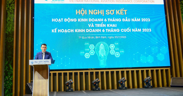 6 tháng đầu năm 2023, bảo hiểm hàng không đạt doanh thu gần 1.200 tỷ đồng - Ảnh 1.