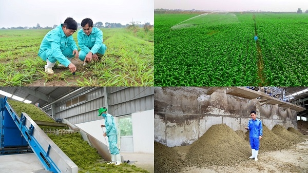 Ngoài sở hữu chứng nhận “Trung hòa carbon” đầu tiên tại Việt Nam, Vinamilk còn đầu tư gì cho những trang trại “xanh”? - Ảnh 2.