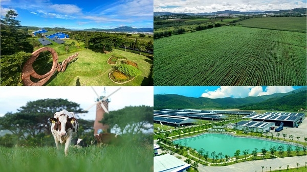 Ngoài sở hữu chứng nhận “Trung hòa carbon” đầu tiên tại Việt Nam, Vinamilk còn đầu tư gì cho những trang trại “xanh”? - Ảnh 3.