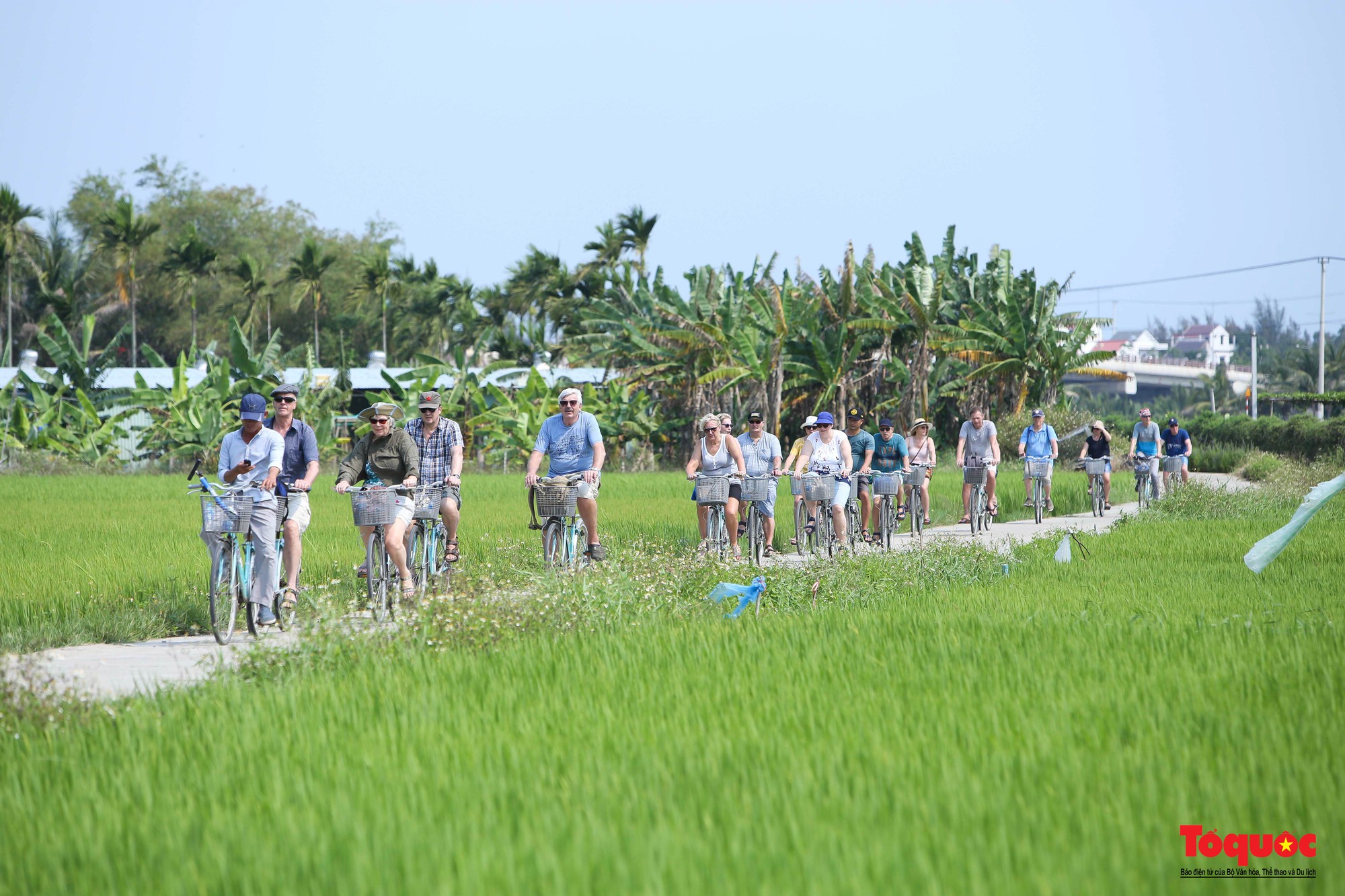 Quảng Nam, Đà Nẵng và Thừa Thiên Huế thúc đẩy phát triển du lịch xanh - Ảnh 3.