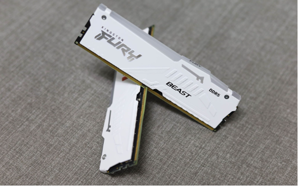 Trải nghiệm Kingston Fury Beast DDR5 - Cặp RAM dành cho hệ thống PC hiệu năng cao - Ảnh 2.