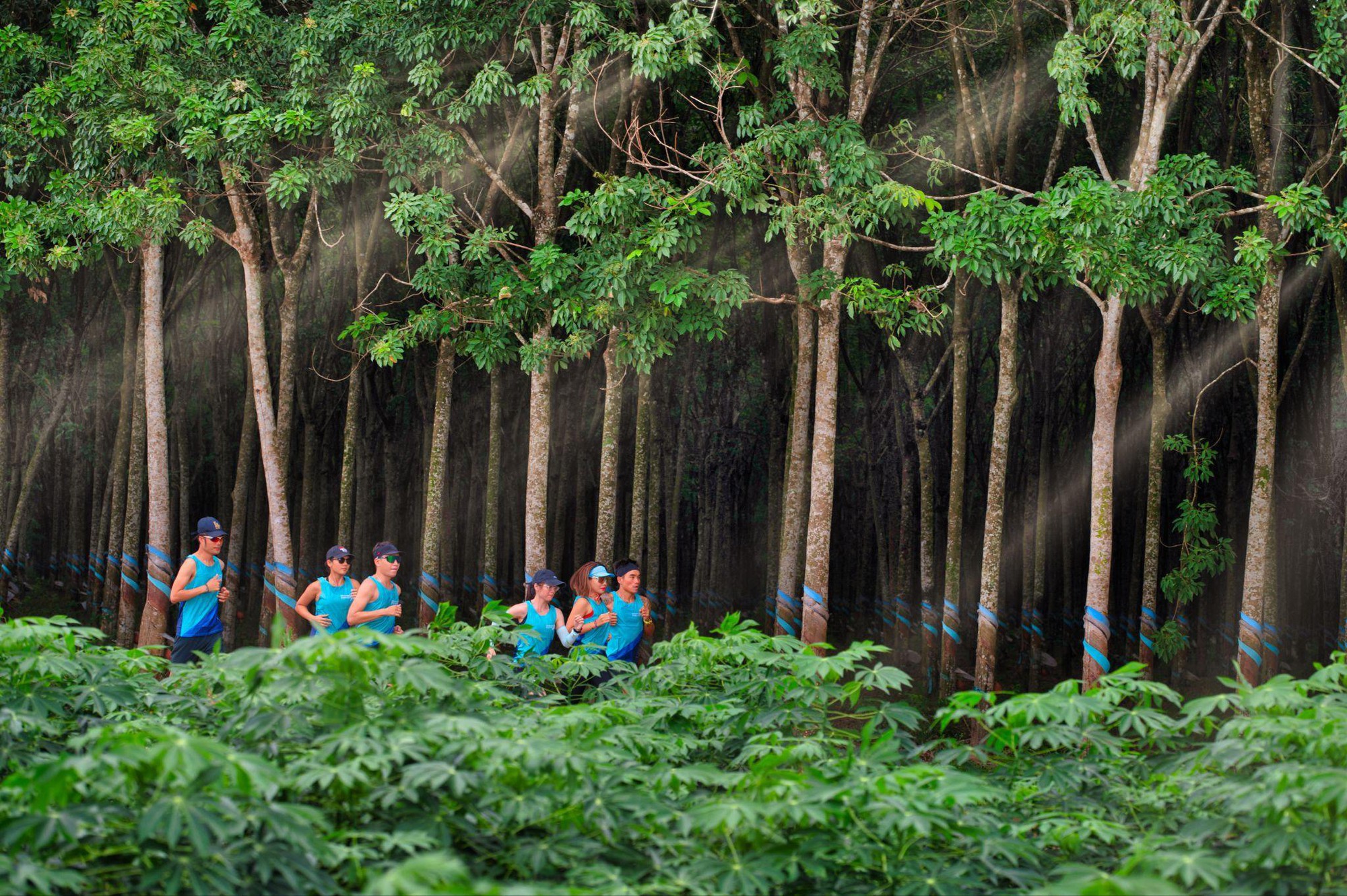 Chốt ngay tấm vé “Chạy về tuổi thơ” cùng Coteccons - Lê Phong Bình Dương Half Marathon - Ảnh 3.