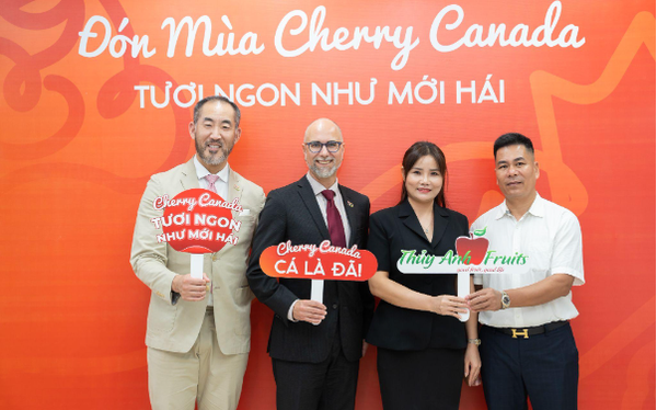 Sự kiện &quot;Đón mùa Cherry Canada&quot; đưa trái cây hảo hạng tới người tiêu dùng Việt - Ảnh 1.