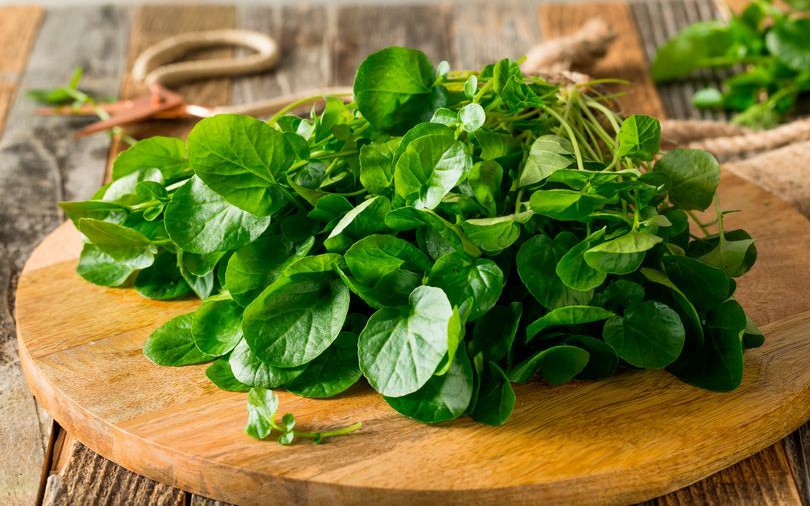 Loại rau xuất xứ từ châu Âu, chợ Việt bán nhiều với giá chỉ 40.000 đồng/kg, được mệnh danh là chống ung thư tốt nhất thế giới