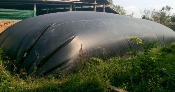 Thi công hầm Biogas bằng bạt HDPE trong chăn nuôi giảm ô nhiễm môi trường - Ảnh 1.