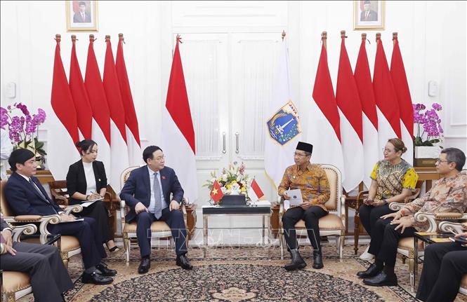 Chuyến thăm của Chủ tịch Quốc hội tới Indonesia tăng cường quan hệ song phương trên tất cả các kênh và các cấp - Ảnh 2.