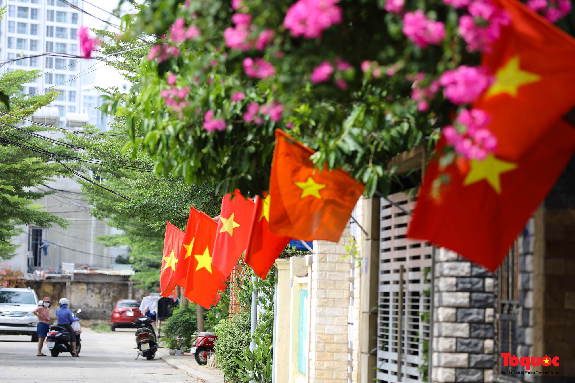 Đường phố Đà Nẵng rực rỡ sắc cờ đỏ chào mừng Quốc khánh 2/9 - Ảnh 11.
