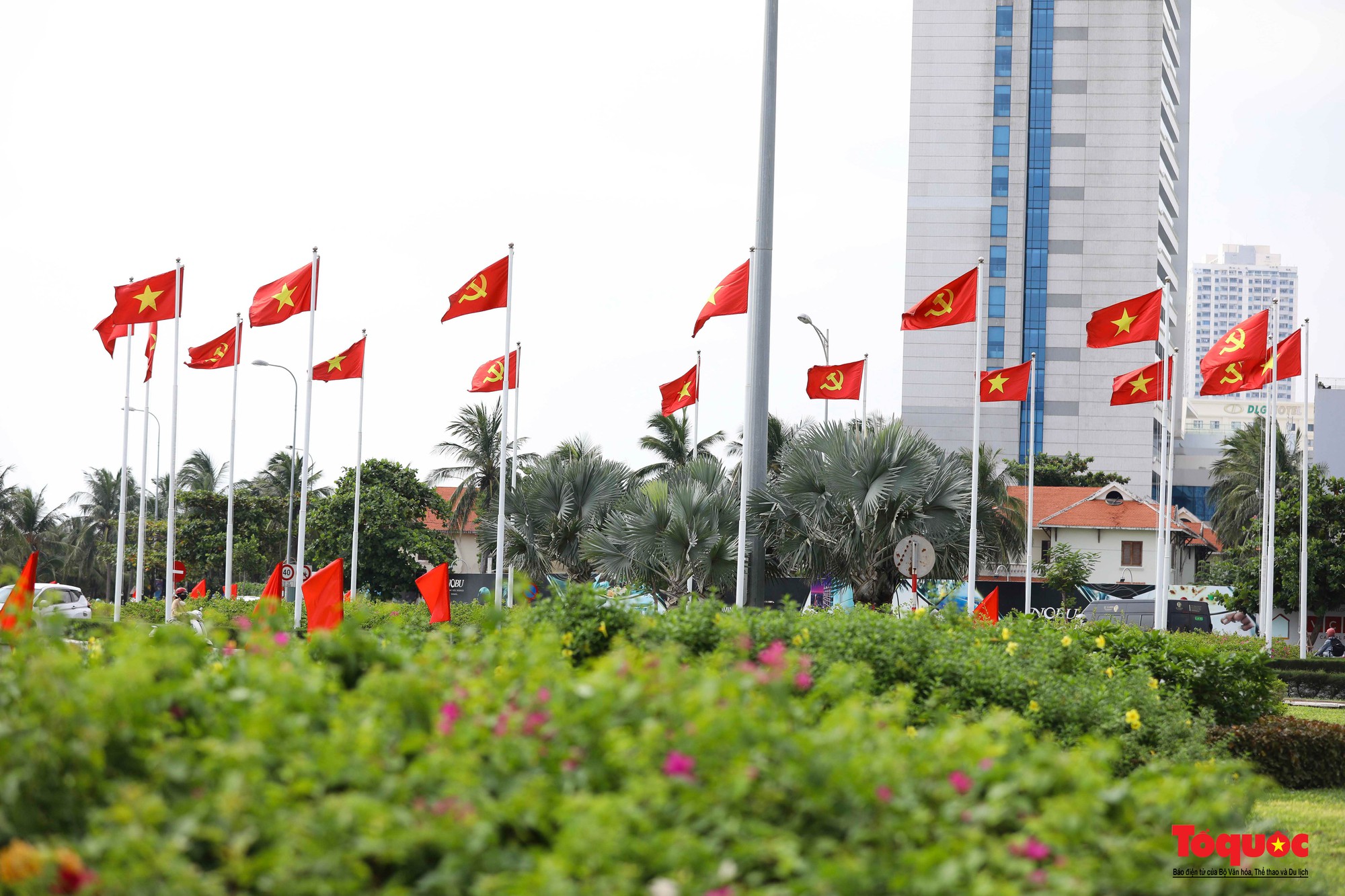Đường phố Đà Nẵng rực rỡ sắc cờ đỏ chào mừng Quốc khánh 2/9 - Ảnh 15.