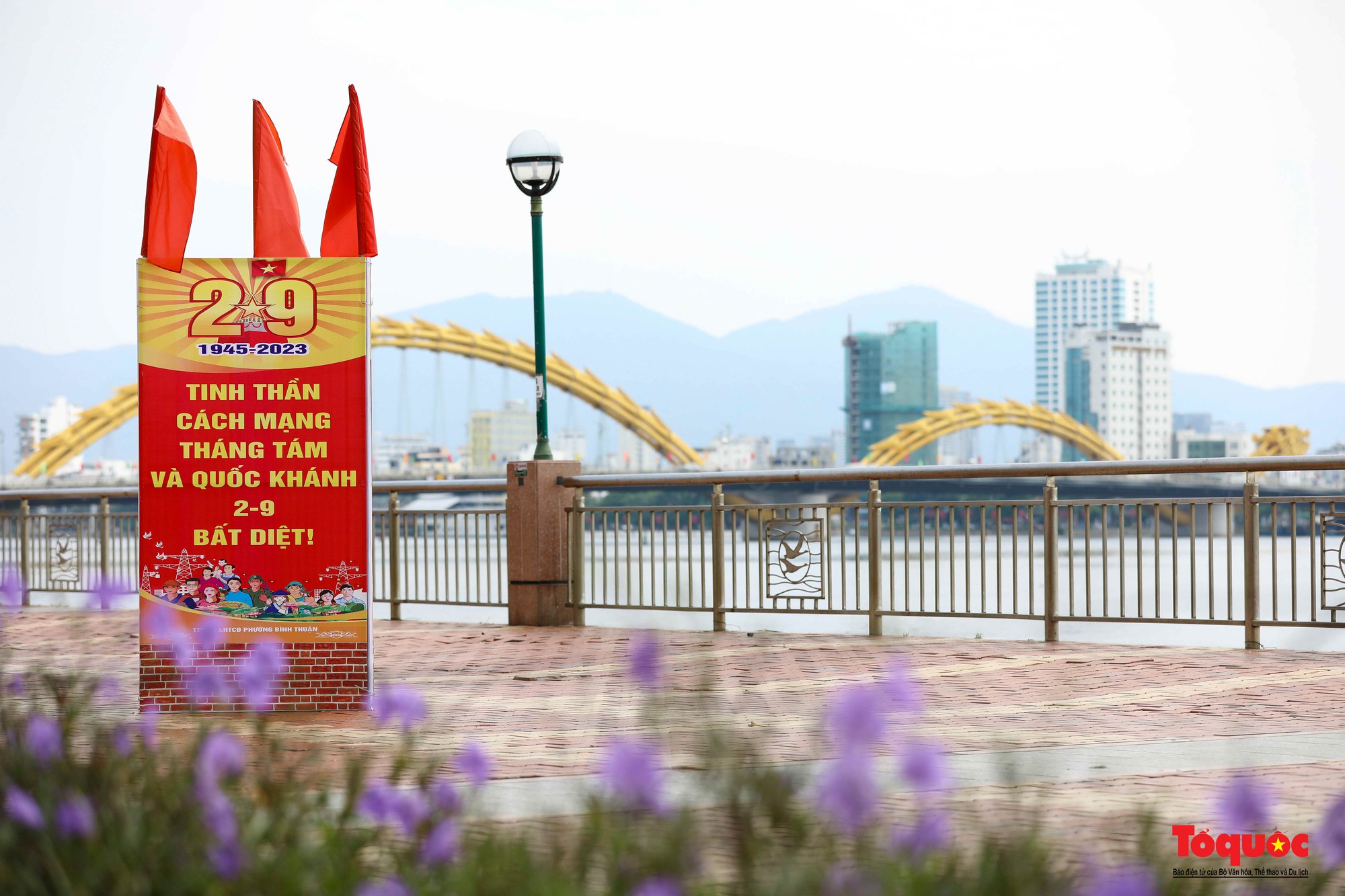 Đường phố Đà Nẵng rực rỡ sắc cờ đỏ chào mừng Quốc khánh 2/9 - Ảnh 7.
