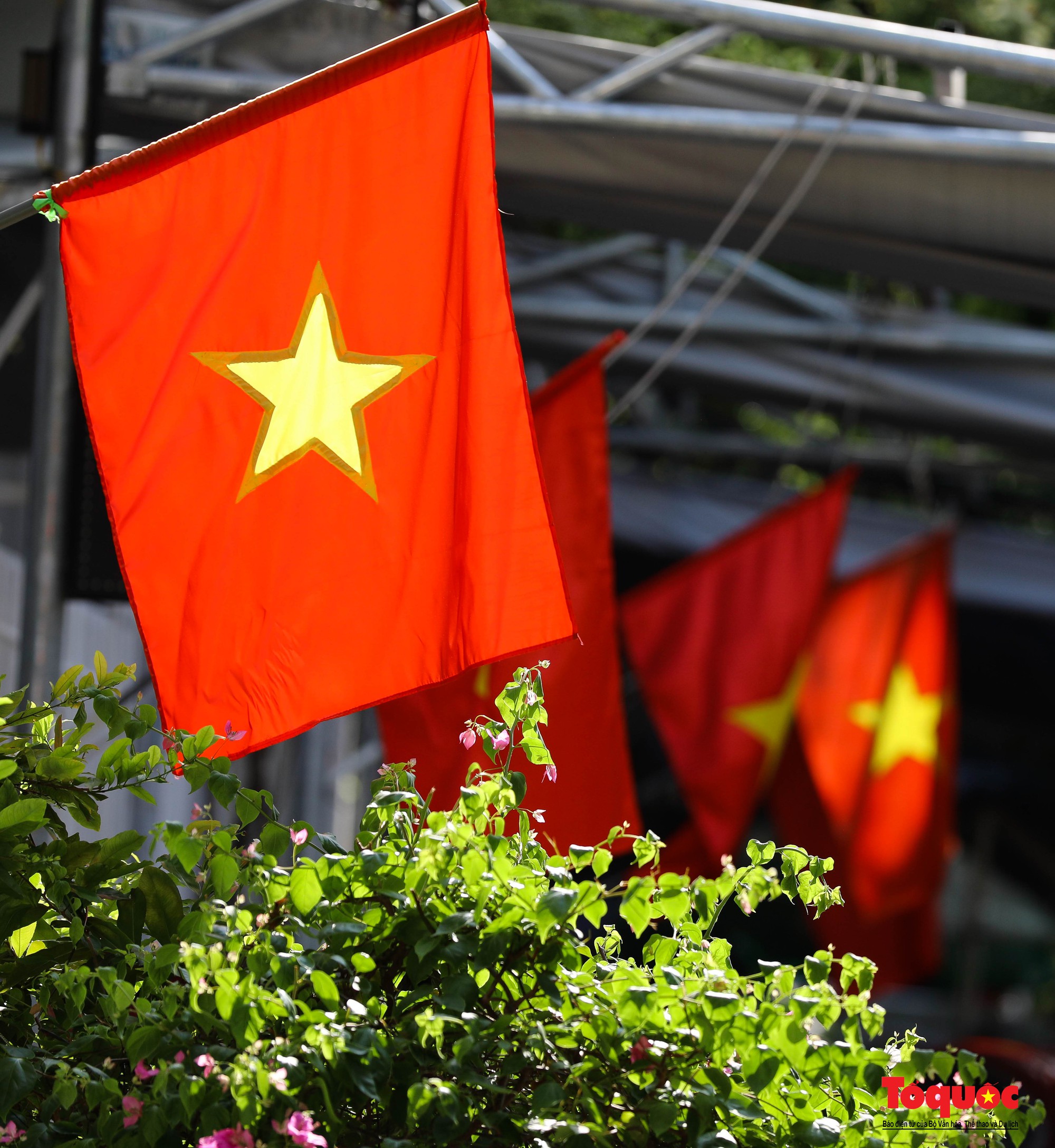 Đường phố Đà Nẵng rực rỡ sắc cờ đỏ chào mừng Quốc khánh 2/9 - Ảnh 13.