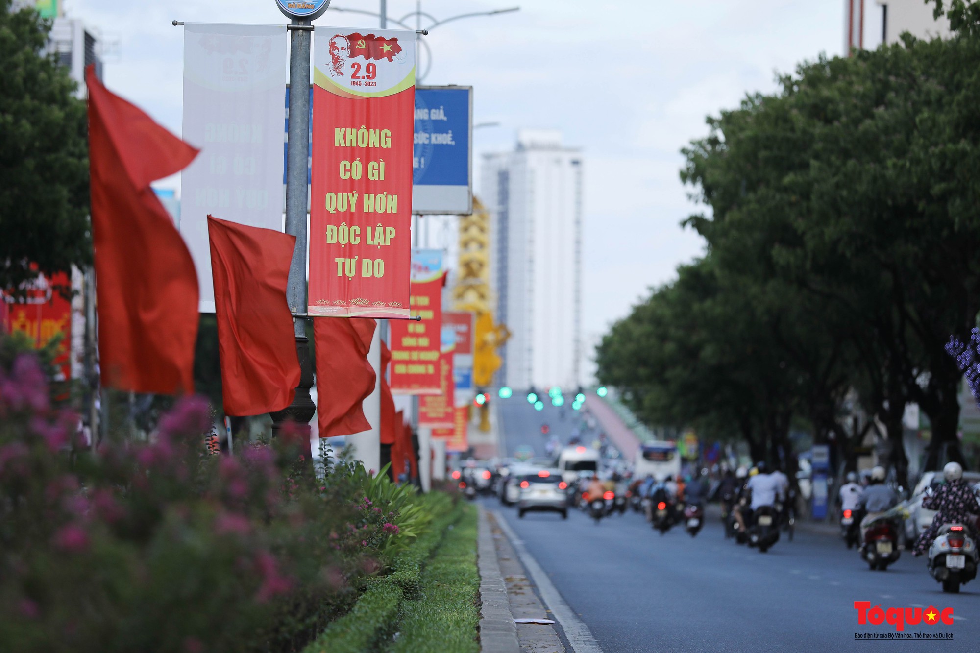 Đường phố Đà Nẵng rực rỡ sắc cờ đỏ chào mừng Quốc khánh 2/9 - Ảnh 19.