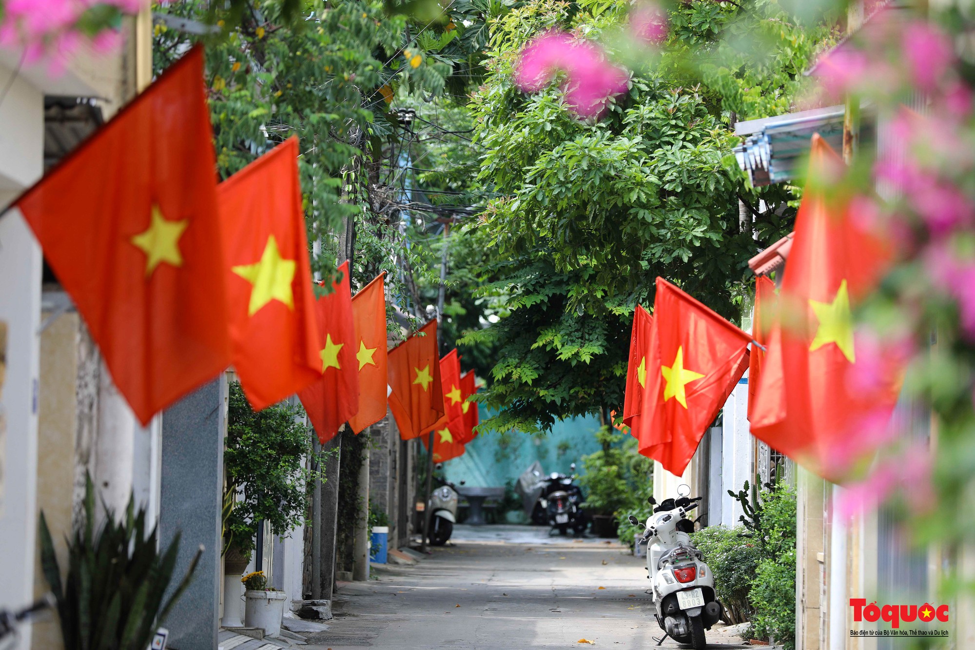 Đường phố Đà Nẵng rực rỡ sắc cờ đỏ chào mừng Quốc khánh 2/9 - Ảnh 12.