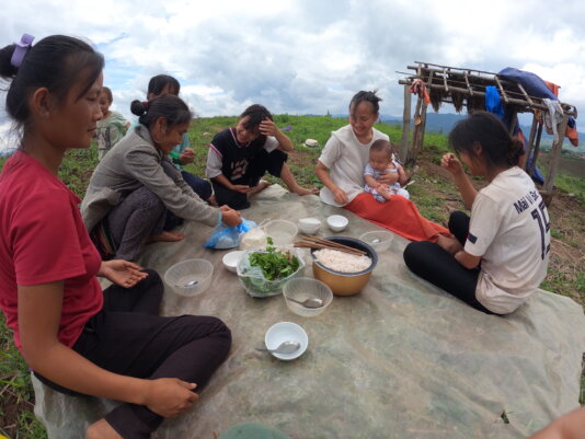 Báo quốc tế đánh giá cao câu chuyện thoát nghèo bền vững của người Hmong - Ảnh 1.