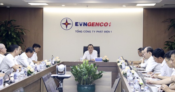 EVNGENCO1: Thực hiện đồng bộ giải pháp, quyết tâm hoàn thành mục tiêu 2023 - Ảnh 1.