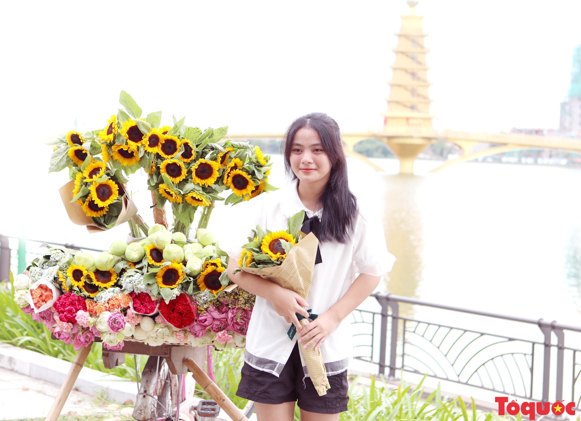 Mùa thu Việt Trì đẹp rực rỡ bên những chiếc xe chở đầy hoa - Ảnh 4.