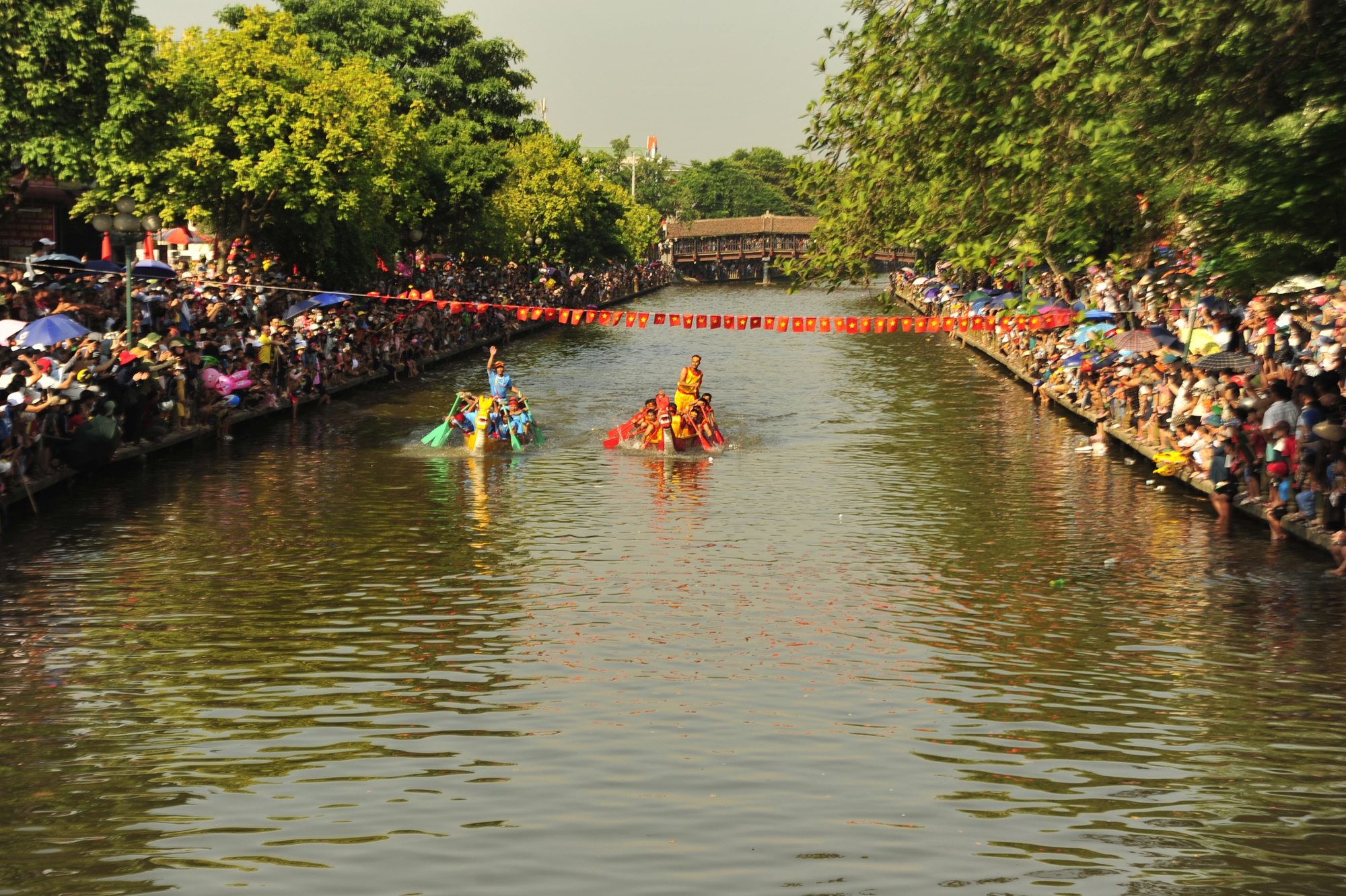 Môn bơi chải