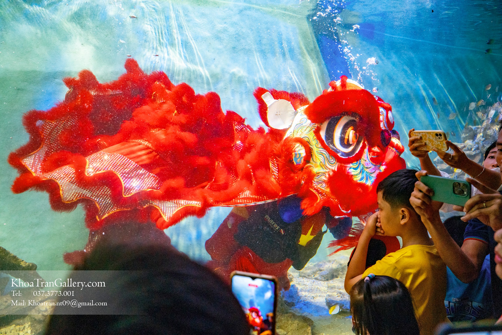Nơi đầu tiên ở Việt Nam có múa Lân dưới nước, nhiều gia đình chen chân đưa trẻ tới chiêm ngưỡng - Ảnh 5.