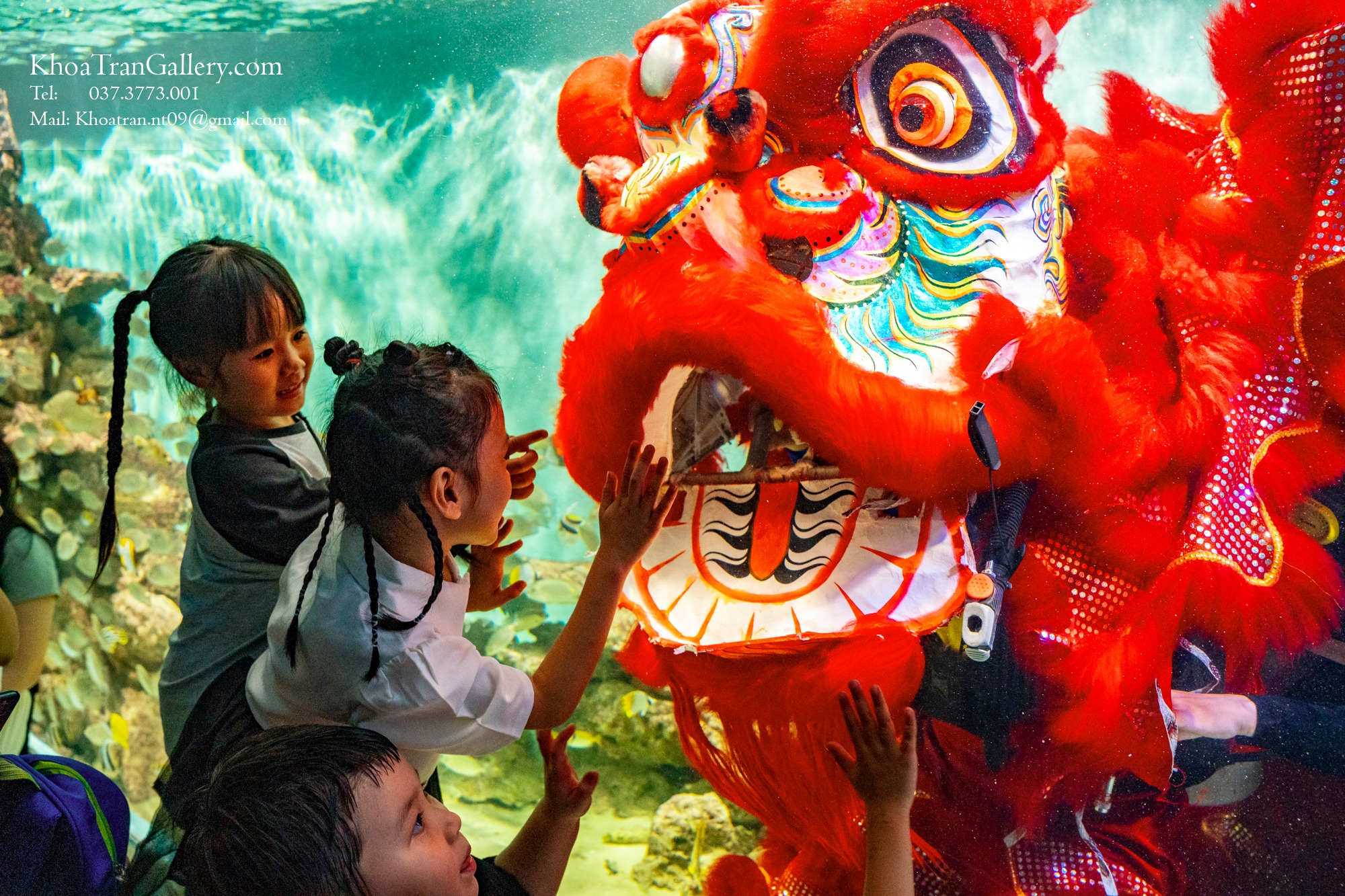 Nơi đầu tiên ở Việt Nam có múa Lân dưới nước, nhiều gia đình chen chân đưa trẻ tới chiêm ngưỡng - Ảnh 2.