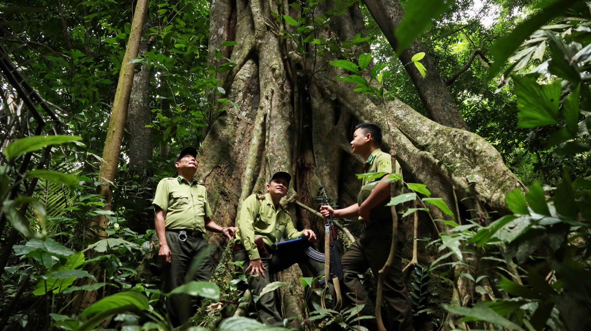 Vườn Quốc gia hơn 60 năm tuổi tại Việt Nam 5 lần liên tiếp nhận giải “Oscar của ngành Du lịch” châu Á - Ảnh 6.