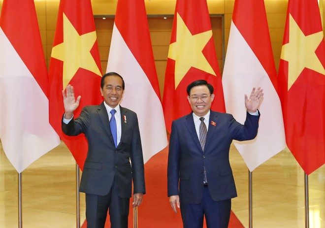 Chuỗi hoạt động của Tổng thống Indonesia Joko Widodo tại Việt Nam - Ảnh 4.