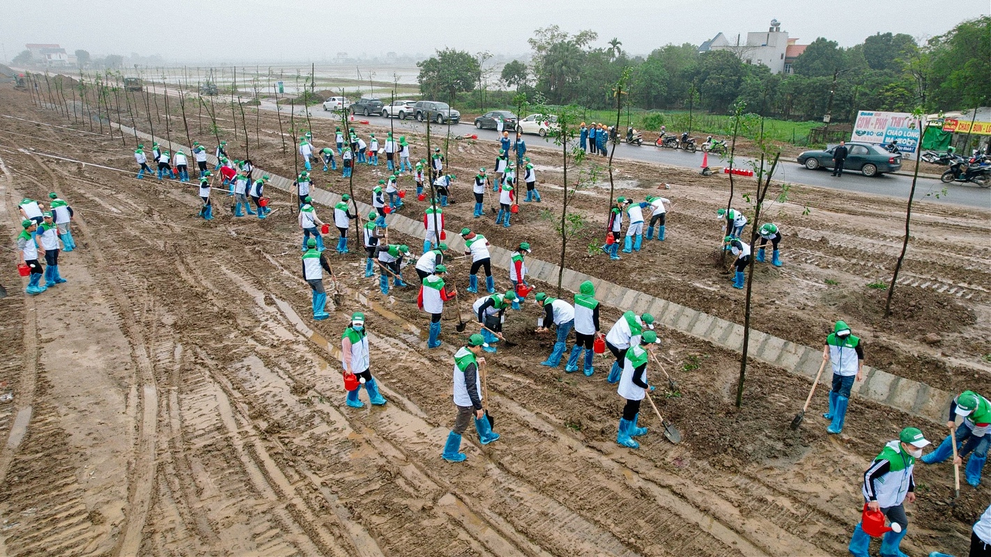 Honda Việt Nam tổ chức “Ngày hội trồng cây Honda - Vì một Việt Nam xanh” tại tỉnh Hà Nam - Ảnh 4.