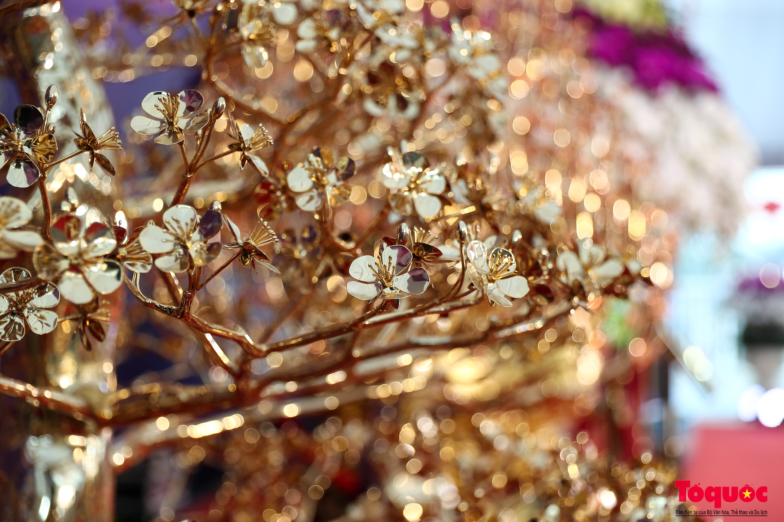 Hà Nội: Chậu lan hồ điệp khổng lồ dát vàng được chào bán gần 4 tỷ đồng - Ảnh 10.