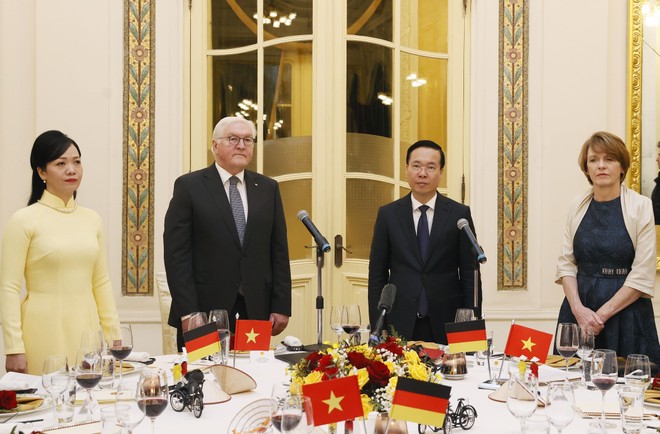Chuỗi hoạt động của Tổng thống Đức Frank-Walter Steinmeier tại Việt Nam - Ảnh 11.