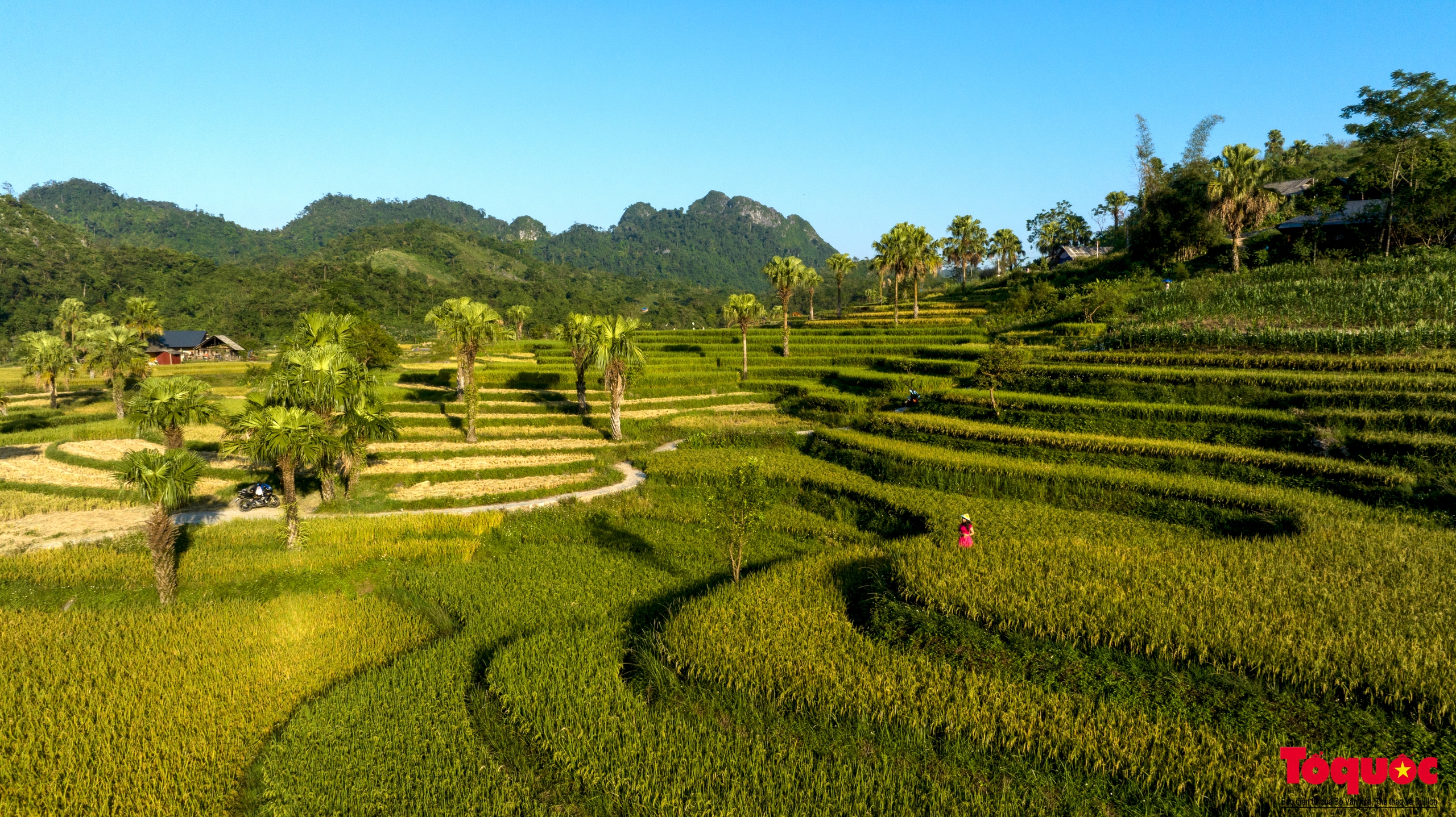 Về thủ đô gió ngàn ngắm mùa lúa chín ở bản Tèn - Ảnh 9.