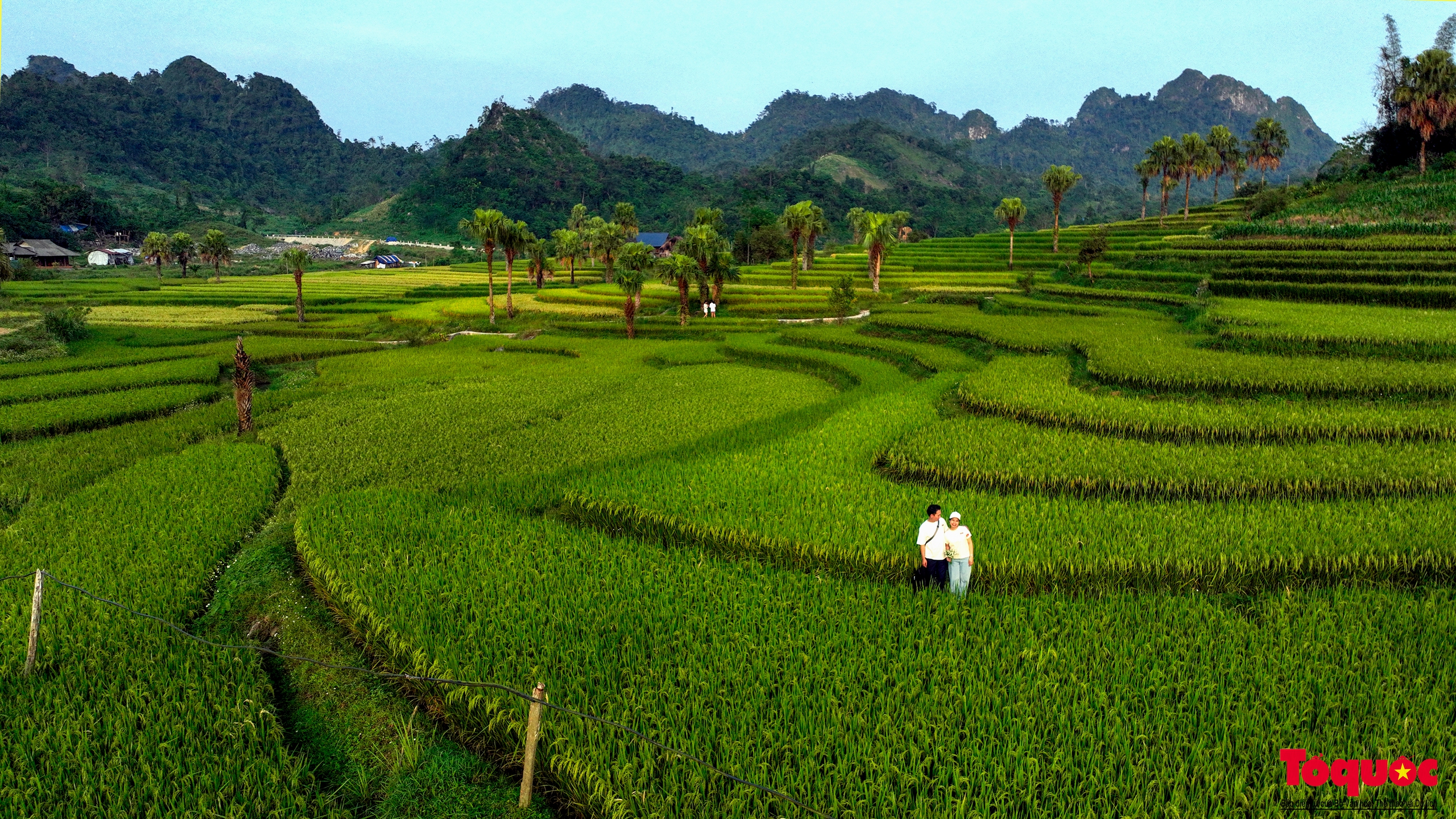 Về thủ đô gió ngàn ngắm mùa lúa chín ở bản Tèn - Ảnh 5.