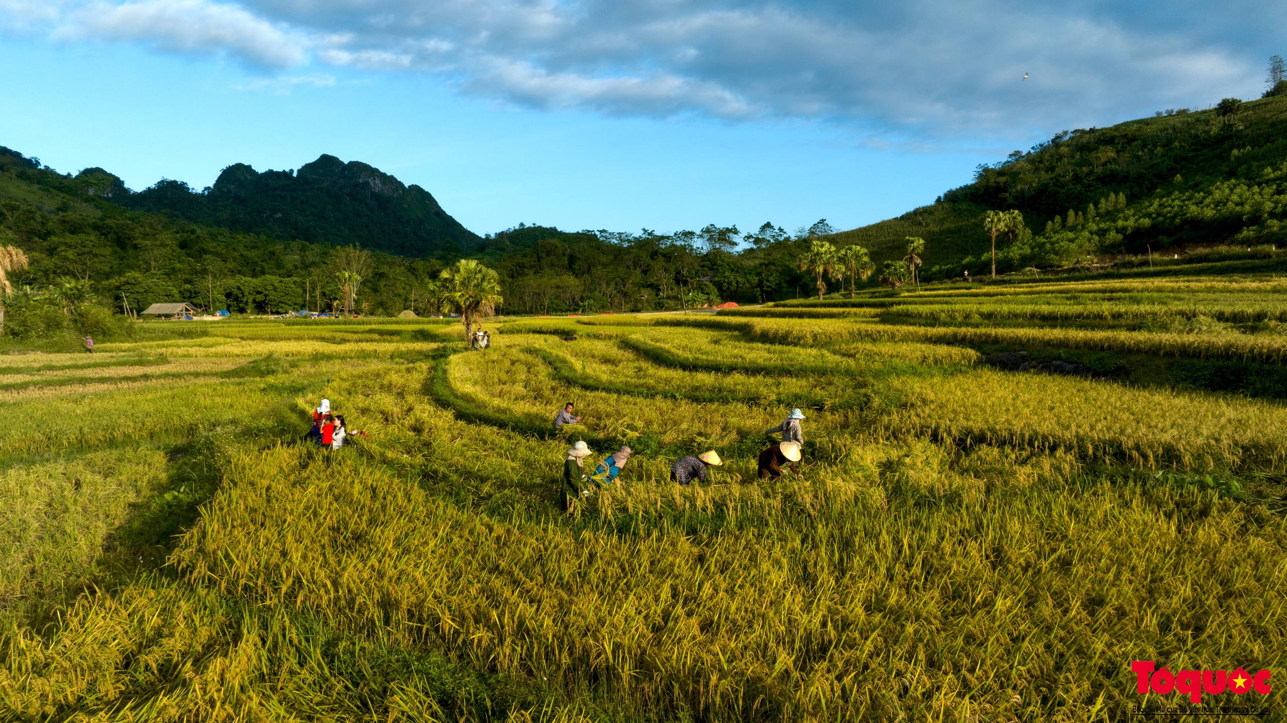 Về thủ đô gió ngàn ngắm mùa lúa chín ở bản Tèn - Ảnh 8.