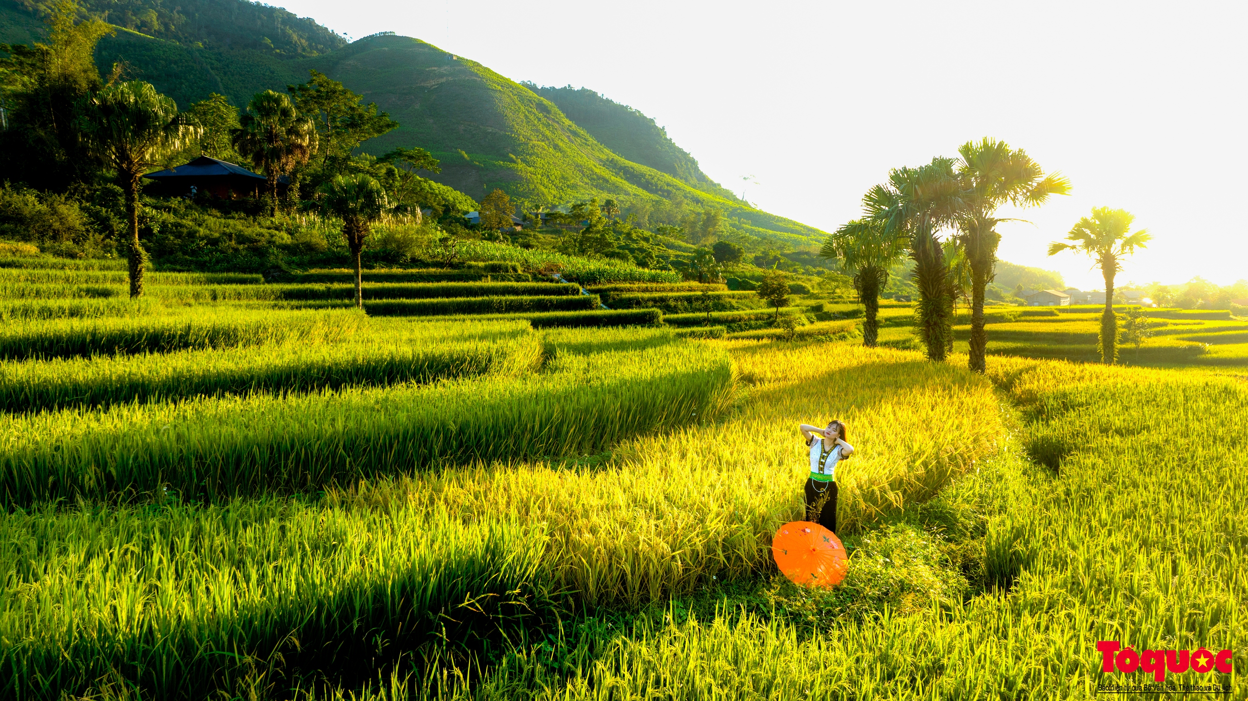 Về thủ đô gió ngàn ngắm mùa lúa chín ở bản Tèn - Ảnh 11.