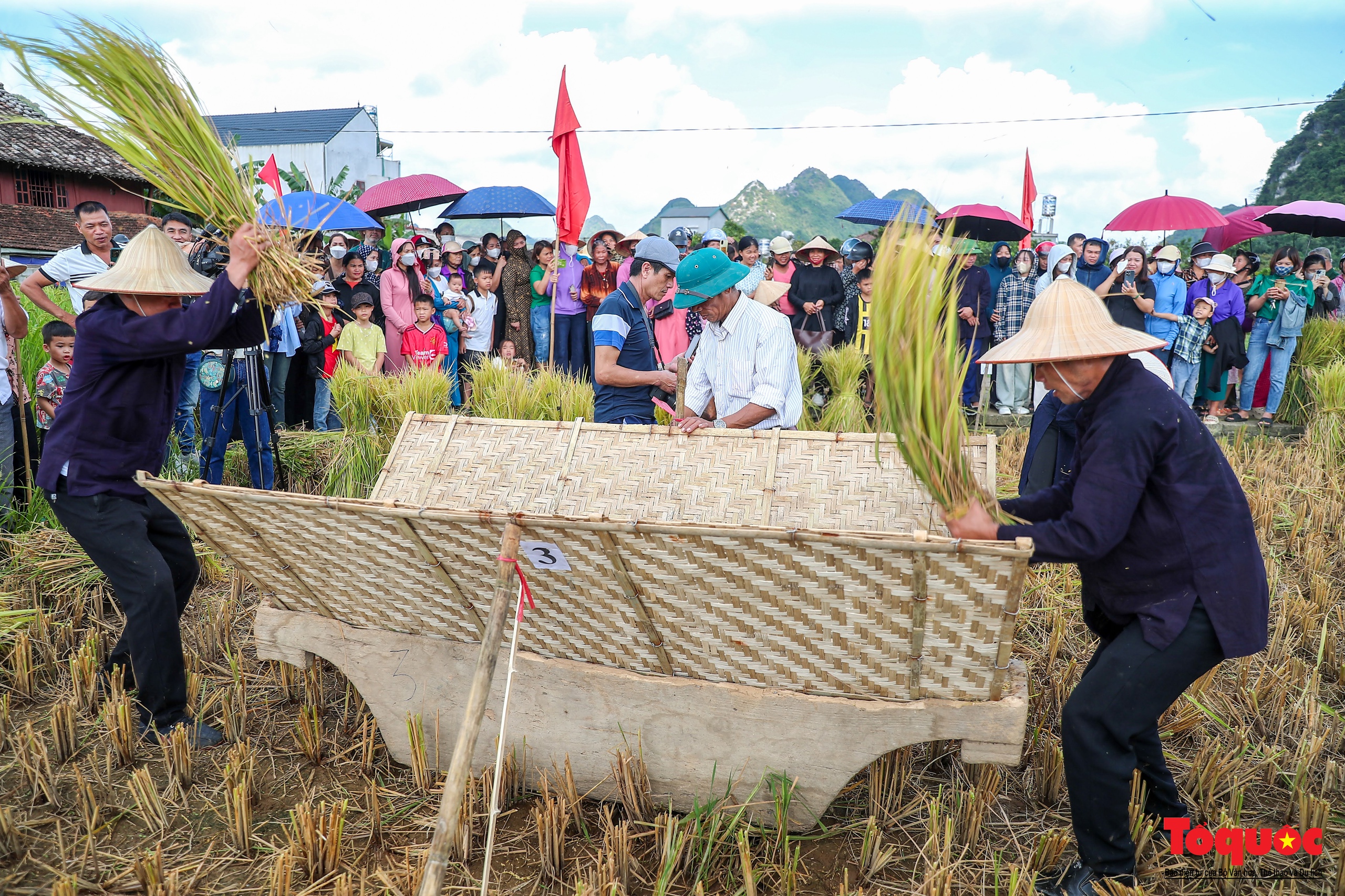 Lên Bắc Sơn xem đồng bào Tày thi gặt lúa bằng công cụ thô sơ - Ảnh 10.